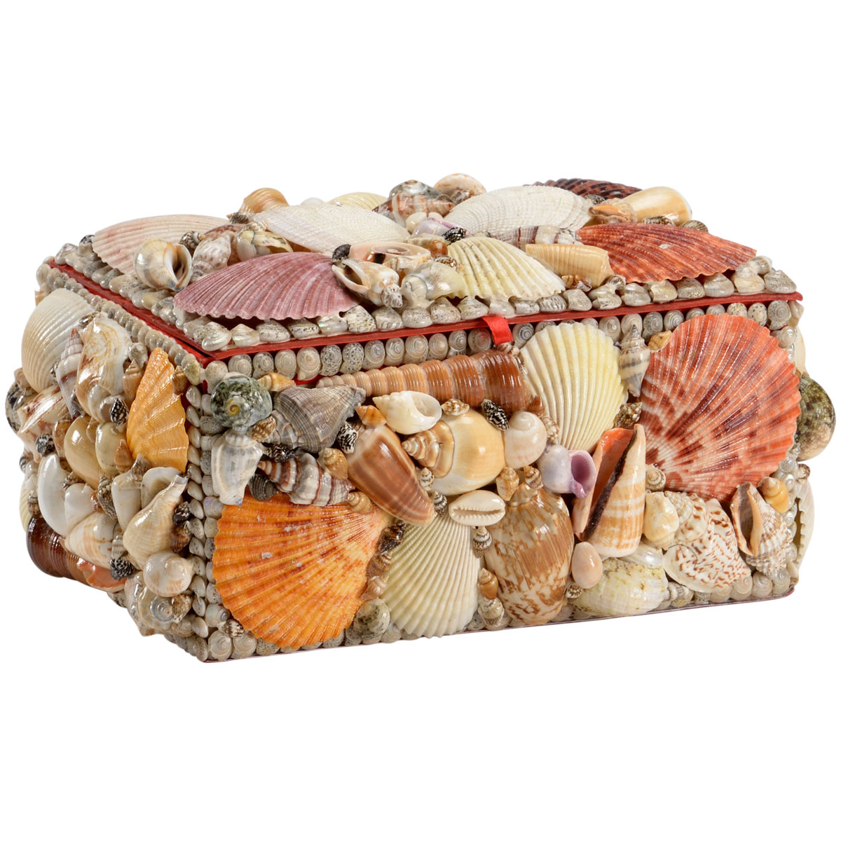 Shells Decoration Box Natural Shell Trinket Boxes - Natural Shells - Decor Accessories